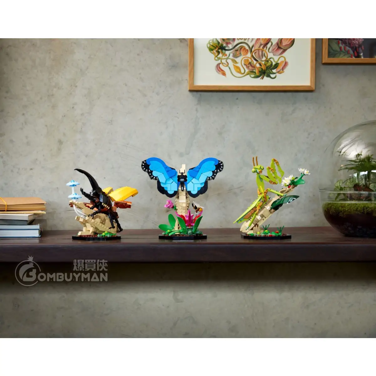 爆買】LEGO 21342 The Insect Collection 昆蟲集錦(Ideas) - 爆買俠