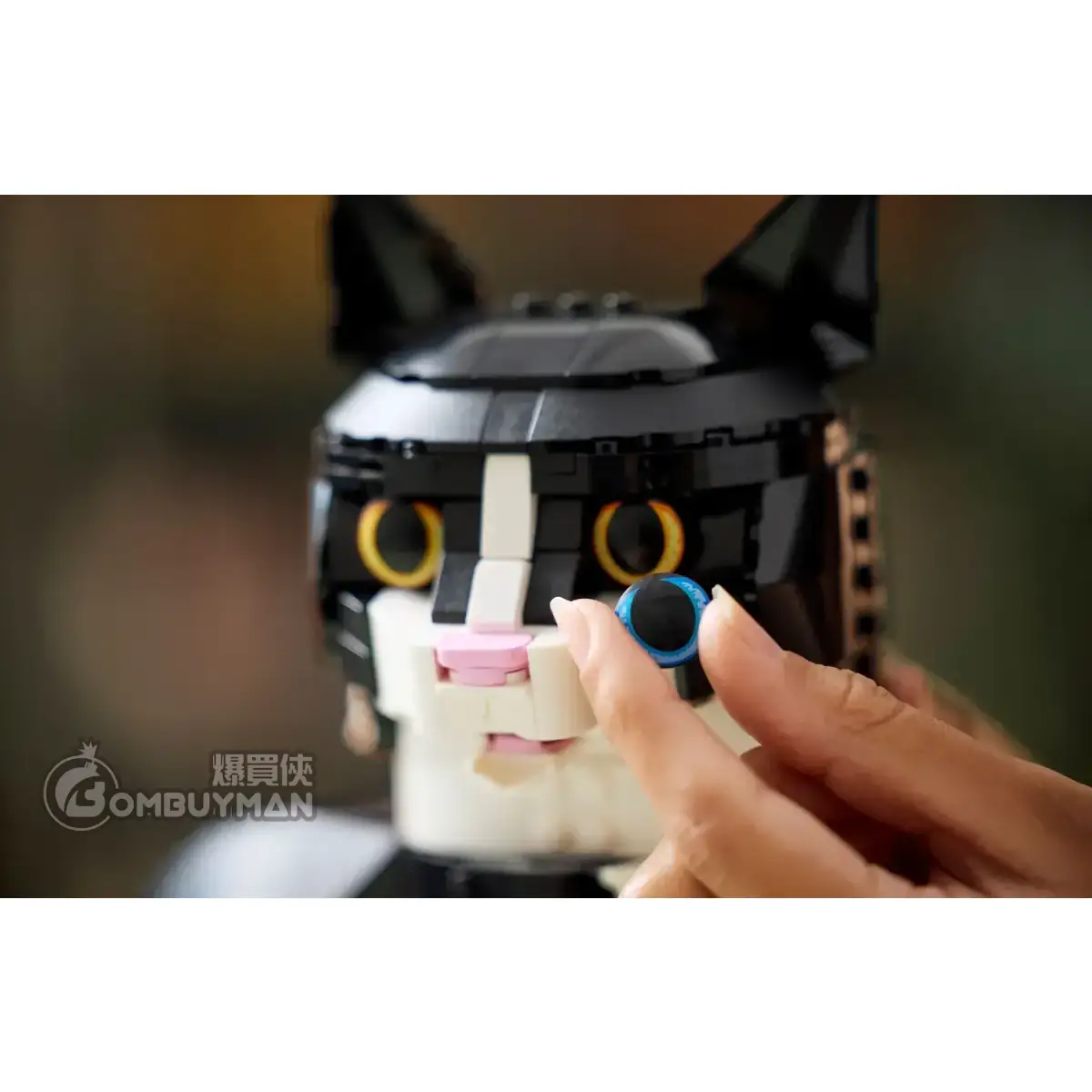 Buy LEGO 21349 Tuxedo Cat (Ideas) - BOMBUYMAN
