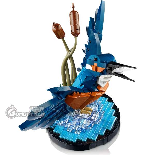 体探し maxresdefault.jpg