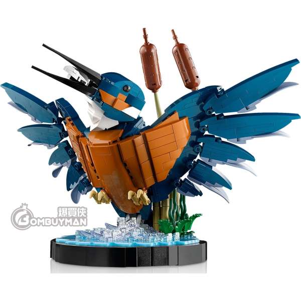 爆買】LEGO 10331 Kingfisher Bird 翠鳥(Icons) - 爆買俠BOMBUYMAN