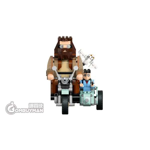 Buy LEGO 76443 Hagrid™ & Harry's Motorcycle Ride (Harry Potter