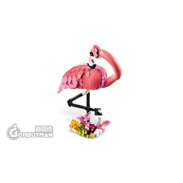 爆買】LEGO 31170 Wild Animals: Pink Flamingot 野生動物：粉紅紅鶴