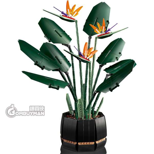 爆買 Lego 102 Bird Of Paradise 天堂鳥花 Creator Expert 爆買俠bombuyman