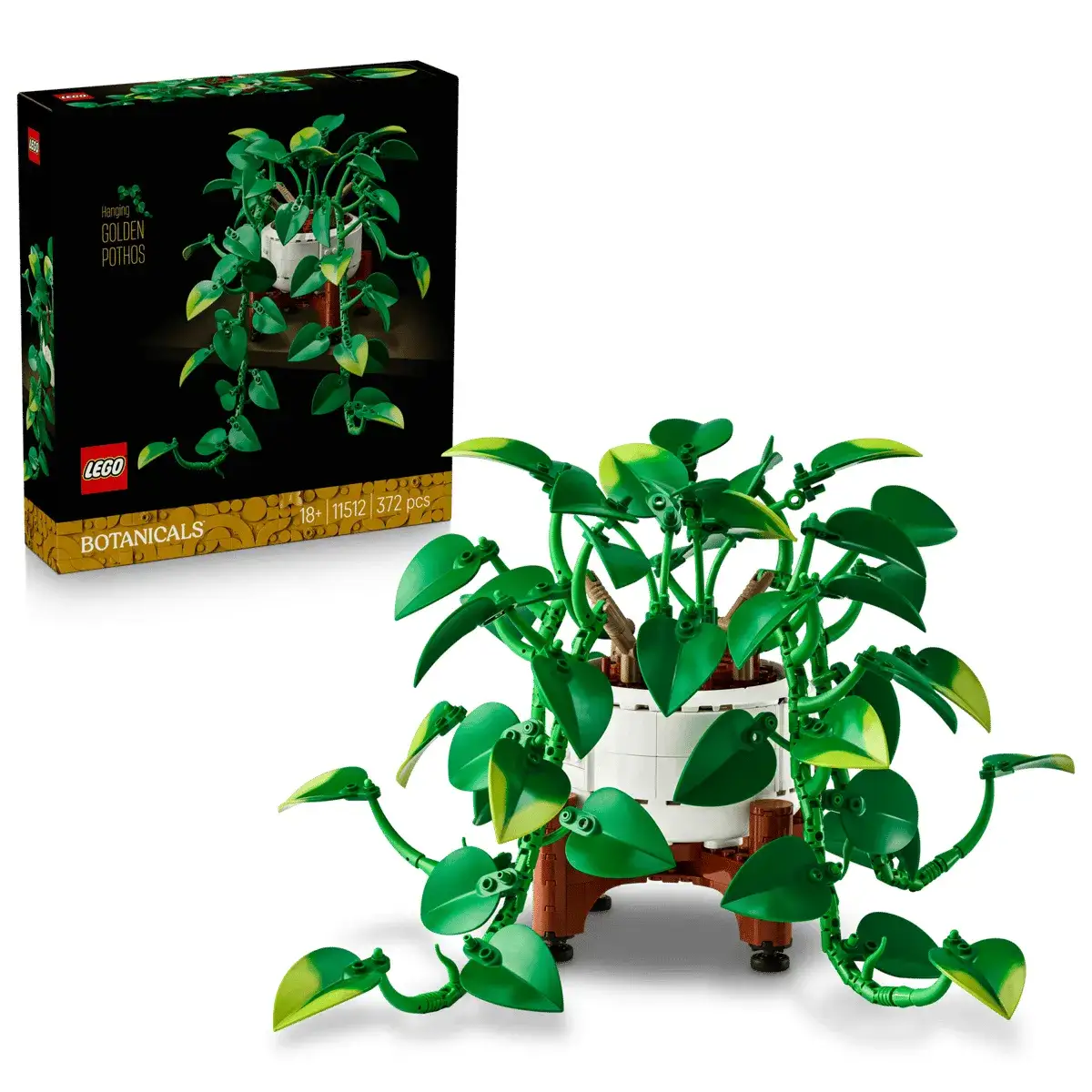爆買】LEGO 11512 Hanging Golden Pothos 垂掛黃金葛(Botanicals