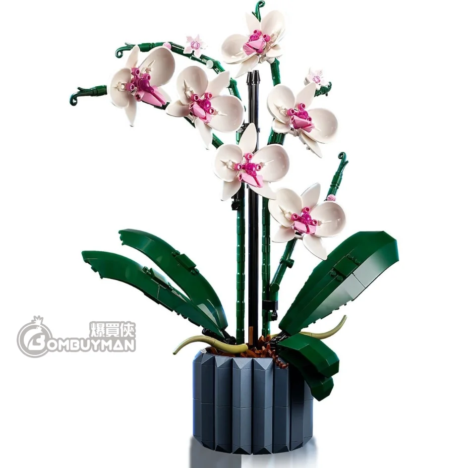 爆買】LEGO 10311 Orchid 蘭花(Creator Expert) - 爆買俠BOMBUYMAN