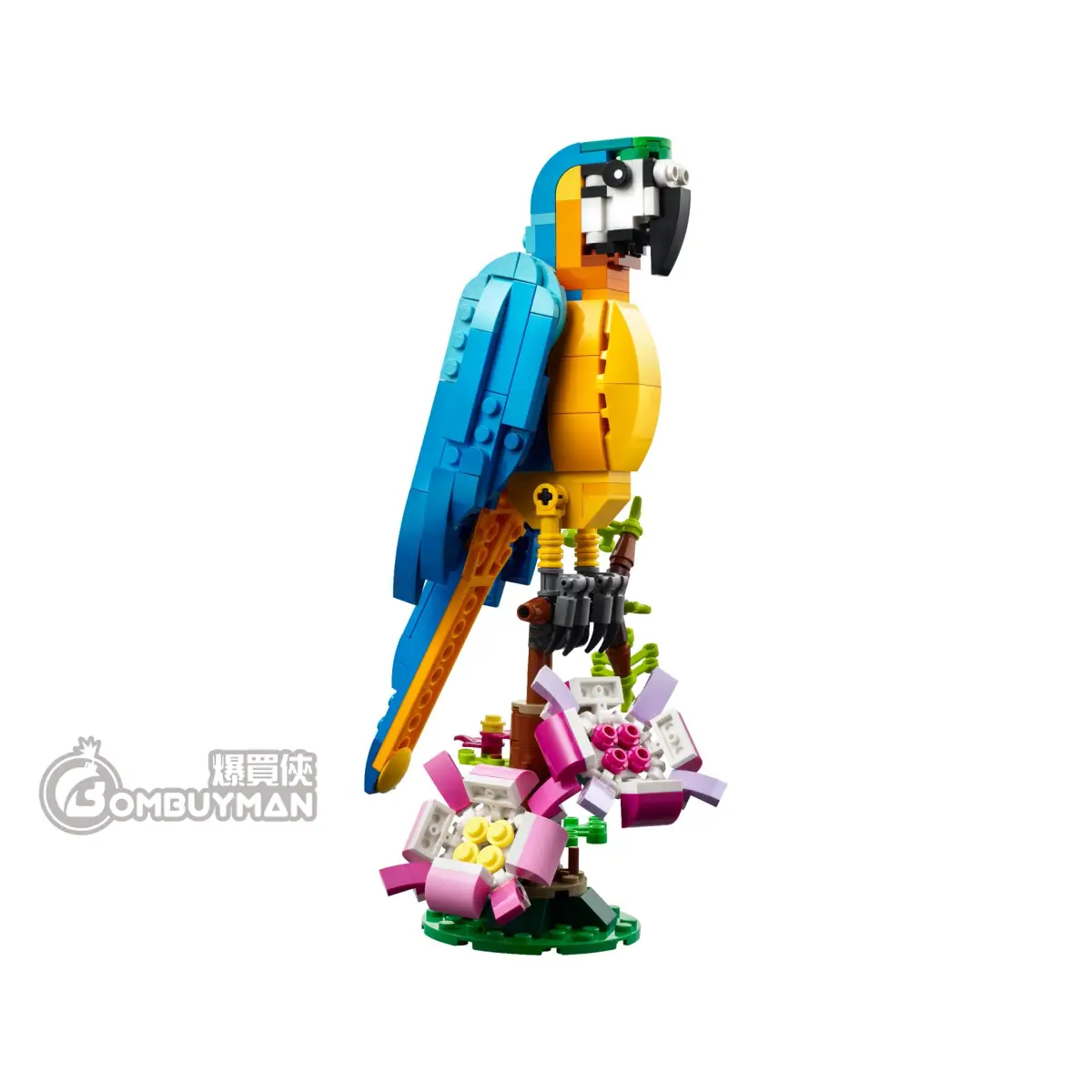 Buy LEGO 31136 Exotic Parrot (Creator 3in1) - BOMBUYMAN