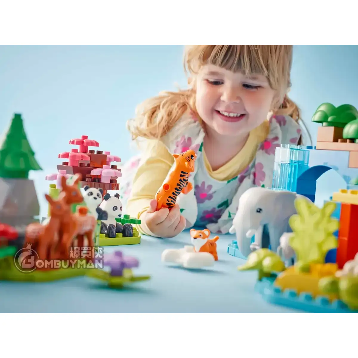 爆買】LEGO 10446 3in1 Wild Animal Families 3 合1 野生動物家庭