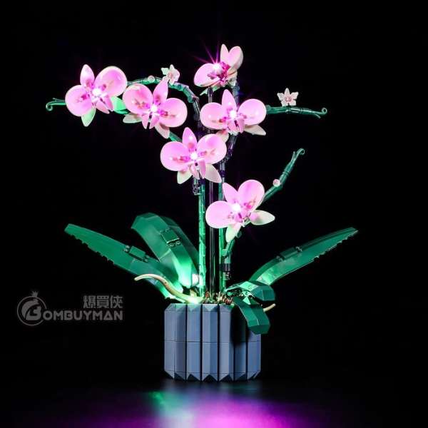 Lightailing LEGO 10311 Orchid 蘭花 (Creator Expert) 專用燈光組件 (不包含LEGO)