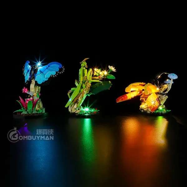 Lightailing LEGO 21342 The Insect Collection 燈光組件 (不包含LEGO)