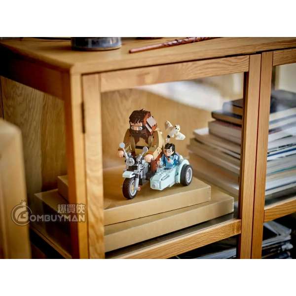 Buy LEGO 76443 Hagrid™ & Harry's Motorcycle Ride (Harry Potter