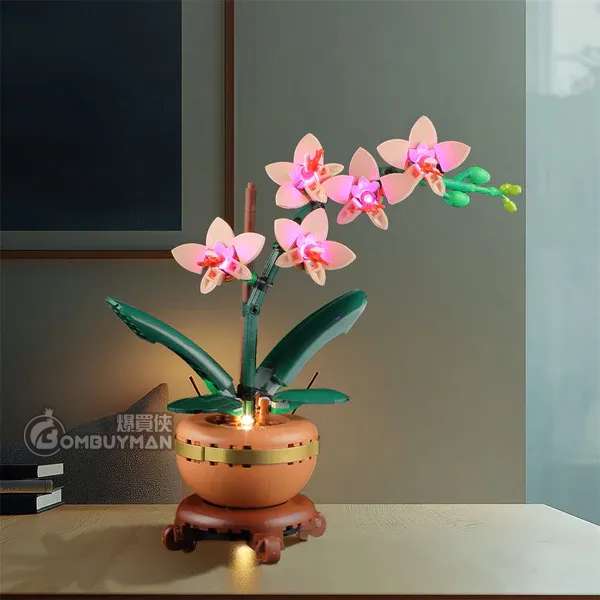 Lightailing LEGO 10343 Mini Orchid Light Set 專用燈光組件(不包含LEGO)