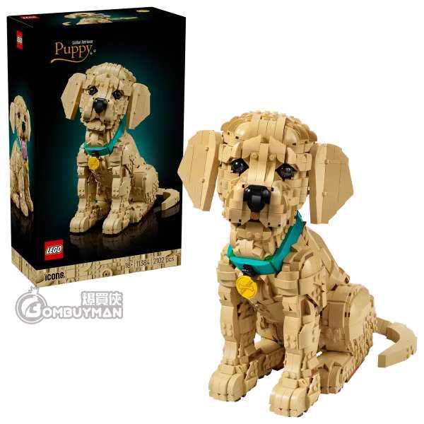 LEGO 11384 Golden Retriever Puppy 小黃金獵犬 (Icons)