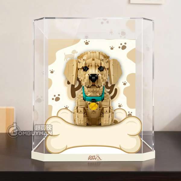 Light Your Bricks LEGO 11384 Golden Retriever Puppy 小黃金獵犬 一體式專用展示盒 (不包含LEGO)