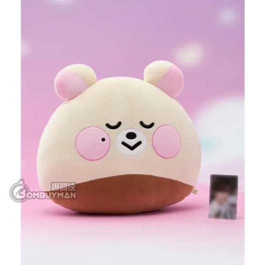 LINE FRIENDS NCT DREAM SWEET Dreamiez 中型大頭抱枕_bamjji
