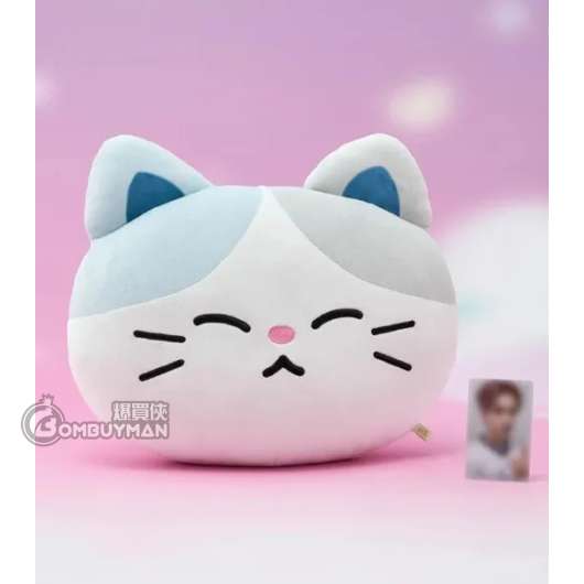LINE FRIENDS NCT DREAM SWEET Dreamiez 中型大頭抱枕_lemyo