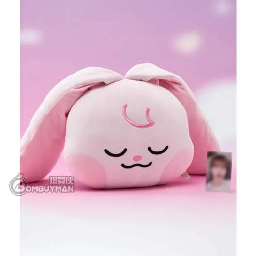 LINE FRIENDS NCT DREAM SWEET Dreamiez 中型大頭抱枕_kkyuping