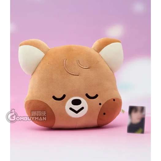 LINE FRIENDS NCT DREAM SWEET Dreamiez 中型大頭抱枕_jjopoo