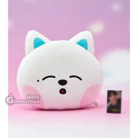 LINE FRIENDS NCT DREAM SWEET Dreamiez 中型大頭抱枕_jjed