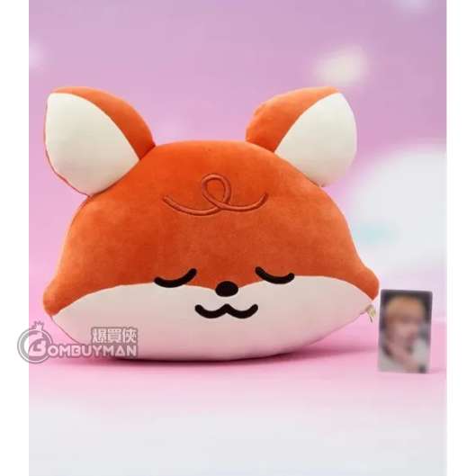 LINE FRIENDS NCT DREAM SWEET Dreamiez 中型大頭抱枕_jjun