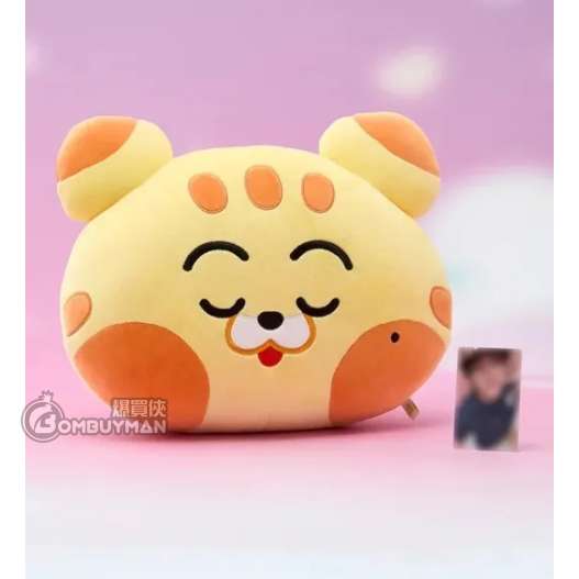 LINE FRIENDS NCT DREAM SWEET Dreamiez 中型大頭抱枕_eong