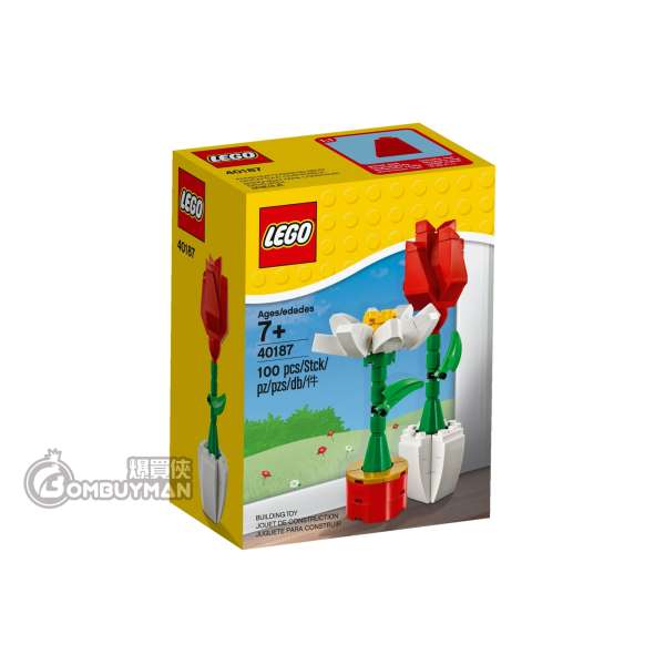 LEGO 40187 Flower Display (Miscellaneous)