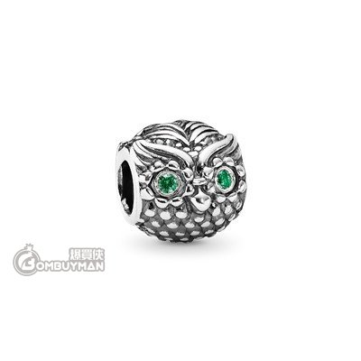 Pandora - CHARMS - Wise Owl Charm #791211CZN