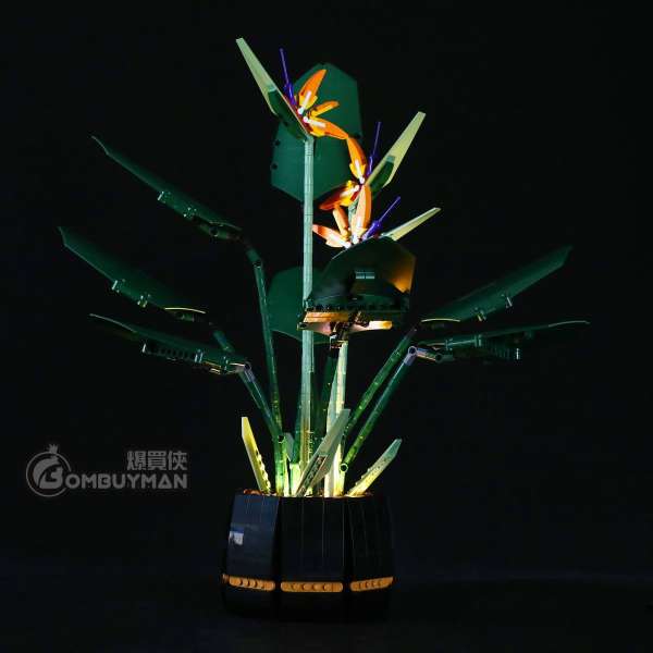 Lightailing LEGO 10289 Bird of Paradise 天堂鳥花 專用燈光組件 (不包含LEGO)